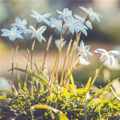 IM体育官方网站