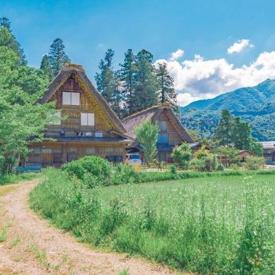 金沙直播app下载截图